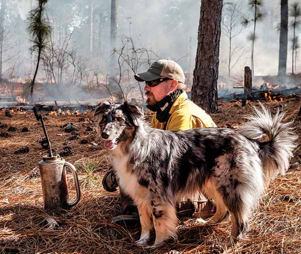 Not Just Any Day in the Woods | A Writer Observes a Prescribed Burn | Aiken Bella Magazine