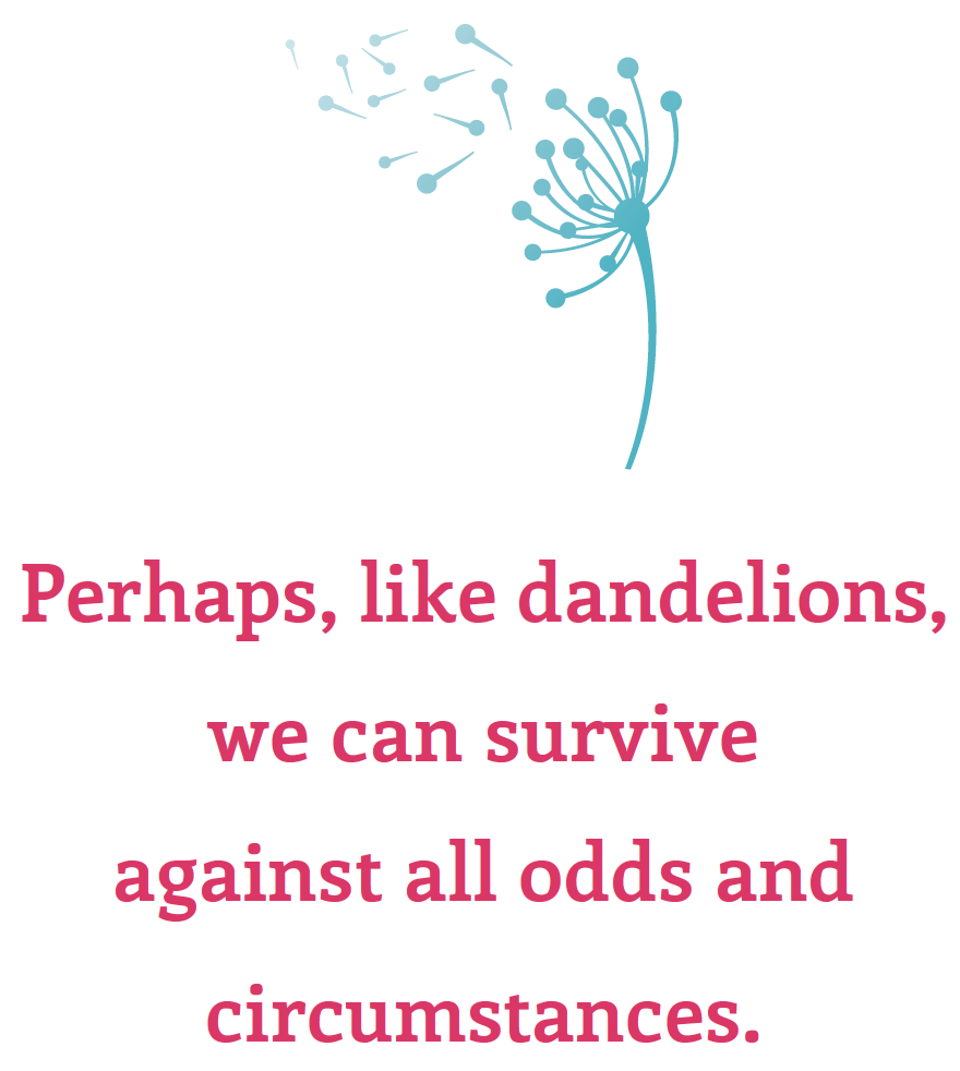 Living Like Dandelions | Aiken Bella Magazine