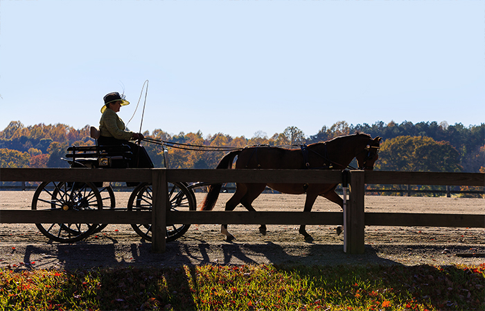 A Path to Tradition | A Sunday Drive to Remember | Aiken Bella Magazine