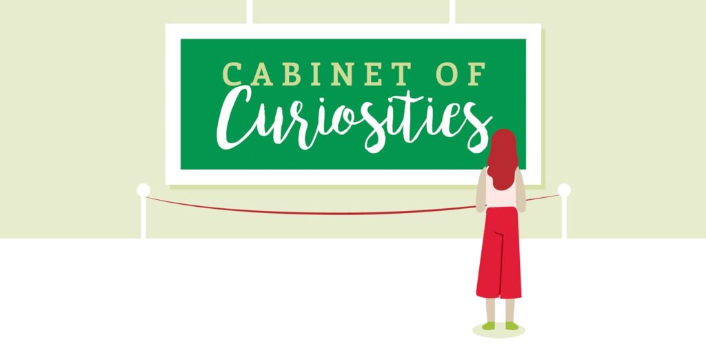 December Cabinet of Curiosities