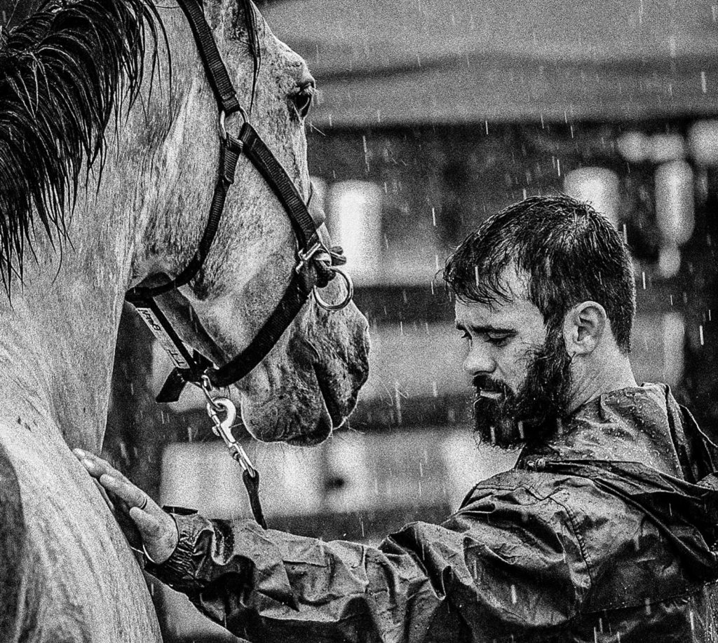 Frodo:  From Racehorse to War Horse to Home