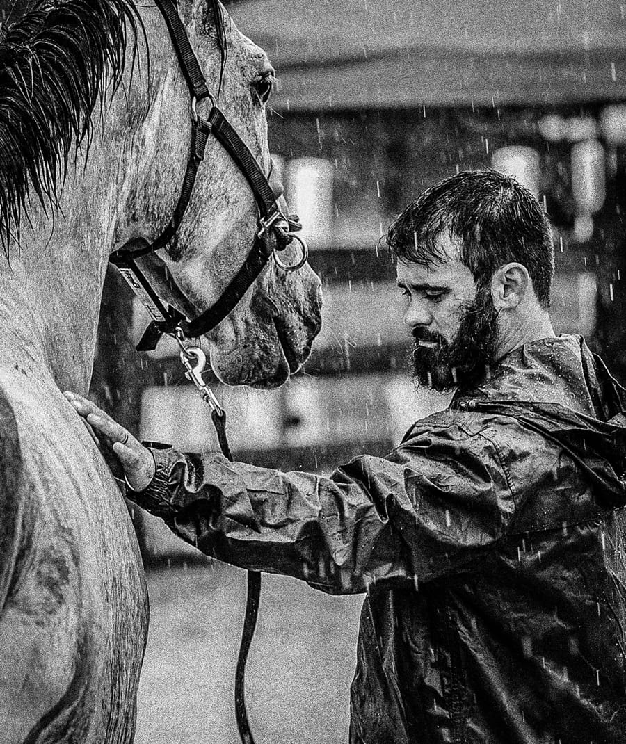 Frodo: From Racehorse to War Horse to Home | Aiken Bella Magazine