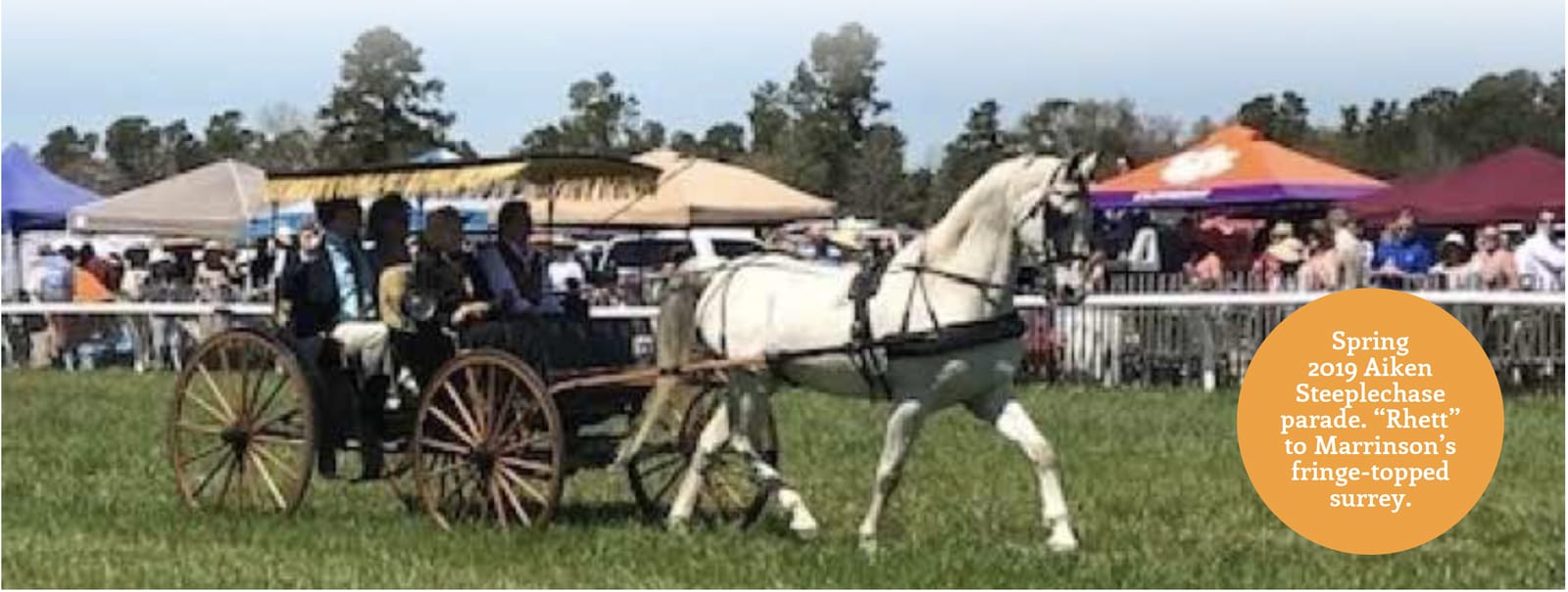Driving Horses | Don’t Let the Kids Have All the Fun | Aiken Bella Magazine
