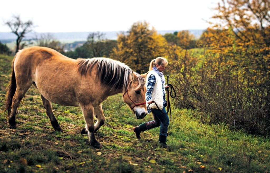 Horsemanship vs. Humanship | Palmetto Bella