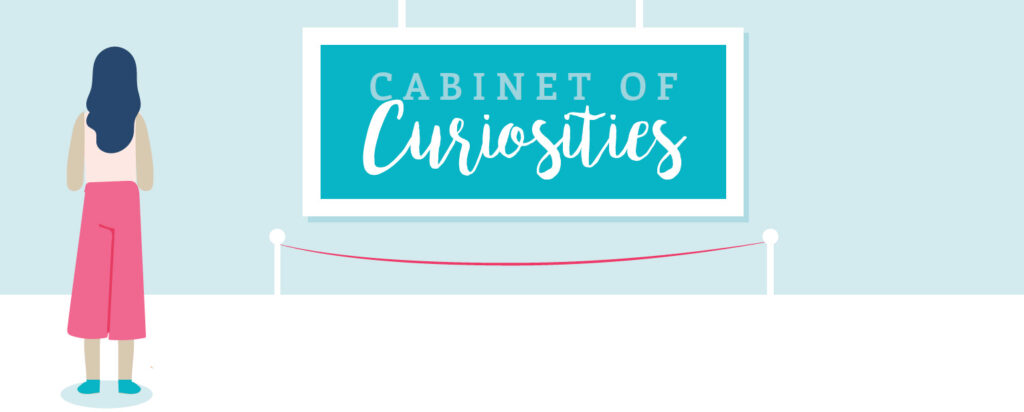Cabinet of Curiosities | Moments of Momentous Change - Time and Time Again | Palmetto Bella