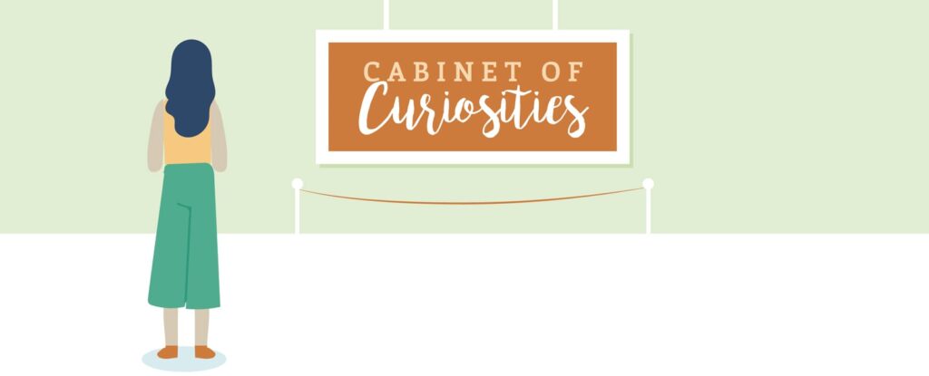 Aiken County — Celebrating 150 Years | Cabinet of Curiosities | Palmetto Bella