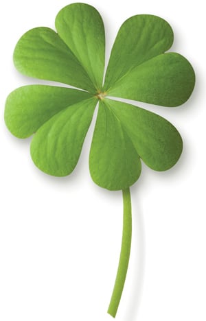 St. Patrick | Shamrocks, and Lucky Charms | Palmetto Bella