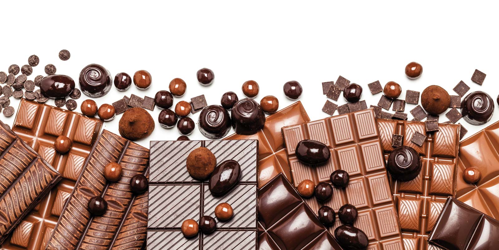The Case for Chocolate | Palmetto Bella